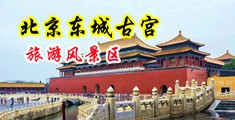 嫩逼视频中国北京-东城古宫旅游风景区